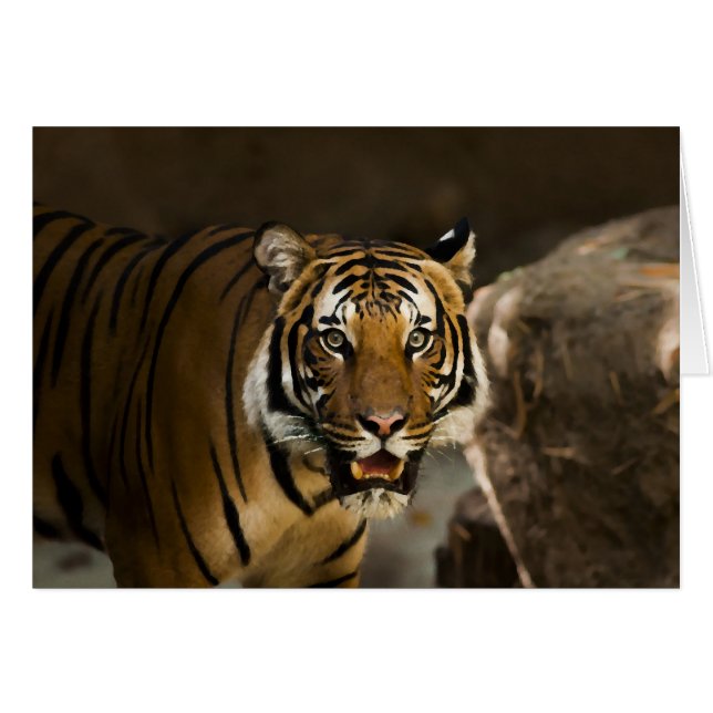 Siberian Tiger (Voorkant Horizontaal)