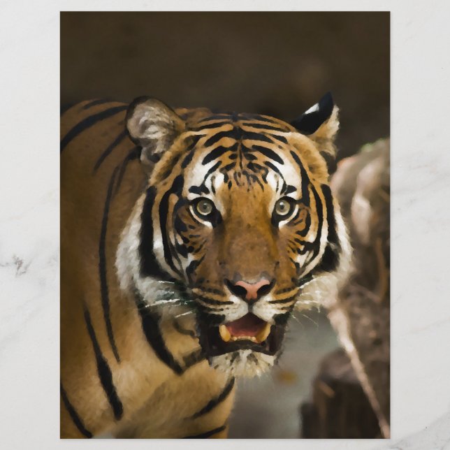 Siberian Tiger (Voorkant)