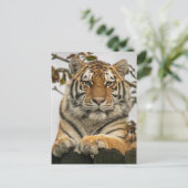 Siberian Tiger Briefkaart (Staand voorkant)