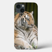 Siberian Tiger Case-Mate iPhone Case (Achterkant)