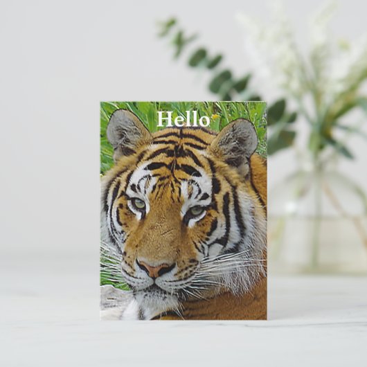 Siberian Tiger Closeup Foto van Face Briefkaart (Staand voorkant)