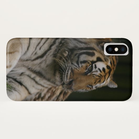 Siberian Tiger Hoesje-Mate iPhone Case (Achterkant (horizontaal))
