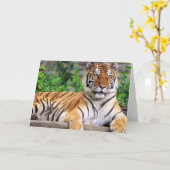 Siberian Tiger Kaart (Gele Bloem)