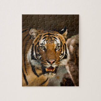 Siberian Tiger Legpuzzel