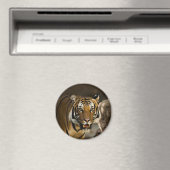 Siberian Tiger Magneet (Insitu (Vaatwasser))