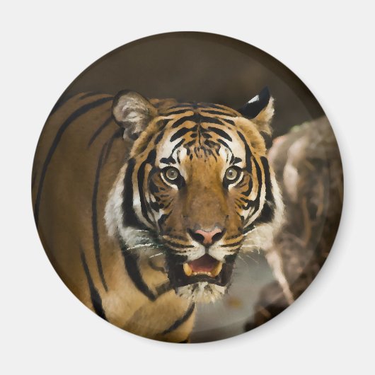 Siberian Tiger Magneet (Voorkant)