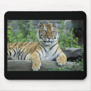 Siberian Tiger Mousepad Muismat
