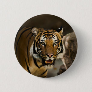 Siberian Tiger Ronde Button 5,7 Cm