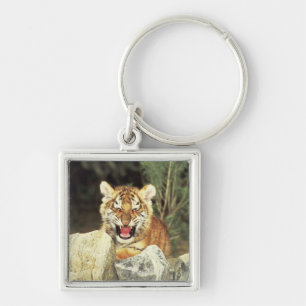 Siberian Tiger Sleutelhanger