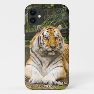 Siberian Tiger Tigress Hoesje-Mate iPhone Case