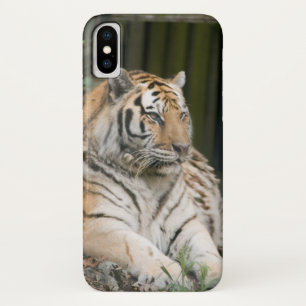 Siberian Tiger Tigress Hoesje-Mate iPhone Case