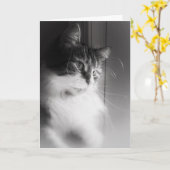 Sibérie Chat Penser de vous carte (Fleur jaune)