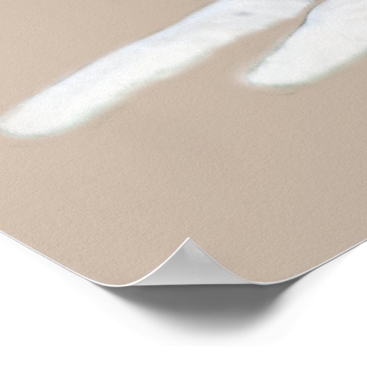 Sibérie Husky Belle impression (Coin)