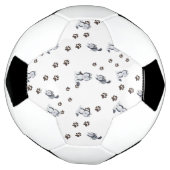 Sibérie Husky Chien Chien Chien Chien Animaux Empr (Tourné)