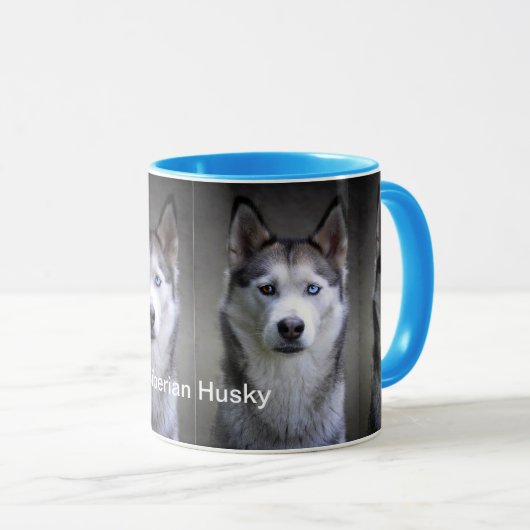 Sibérie Husky Combo Mug (Devant droit)