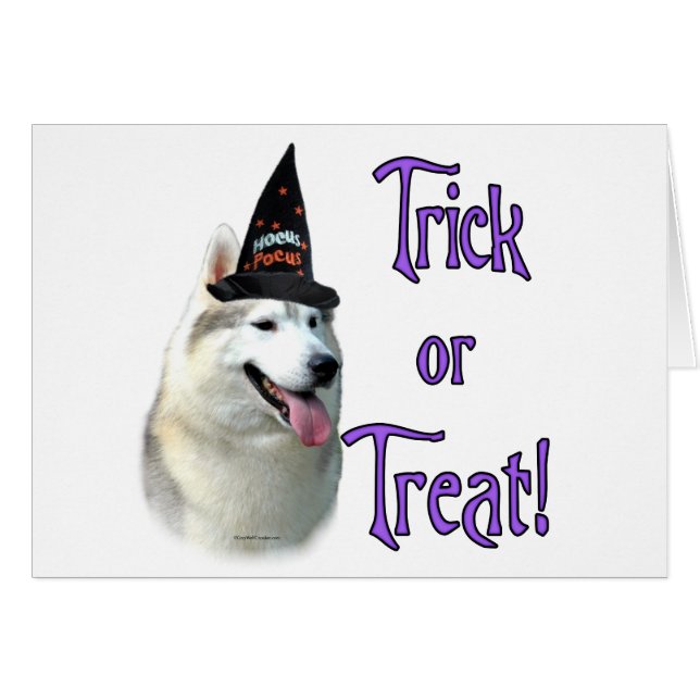 Sibérie Husky Trick (Devant horizontal)