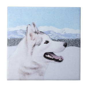 Siberië Husky (zilver en wit) schilderende hond k Tegeltje