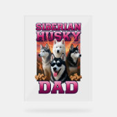 Sibérien Husky (Recto)