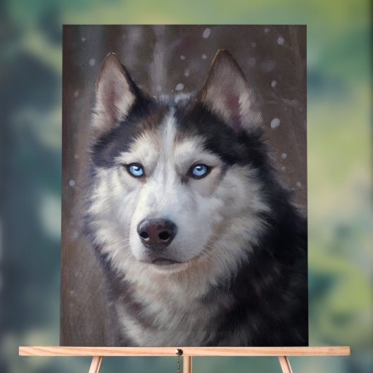 Sibérien Husky (Neutre)