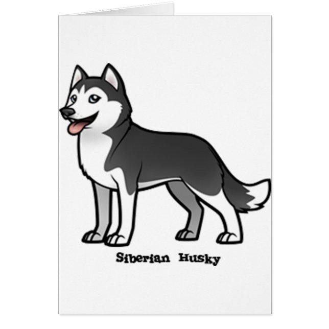 Sibérien Husky (Devant)