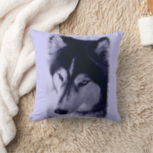 Sibérien Husky Face Coussin bleu Tint