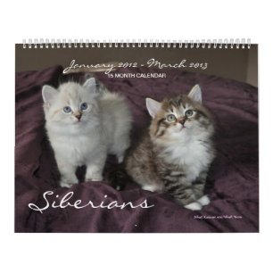 Sibériens chats calendrier des janvier 2014 à ma