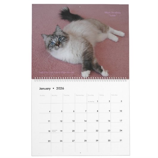 Sibériens chats calendrier des janvier 2014 à mars (Jan 2026)