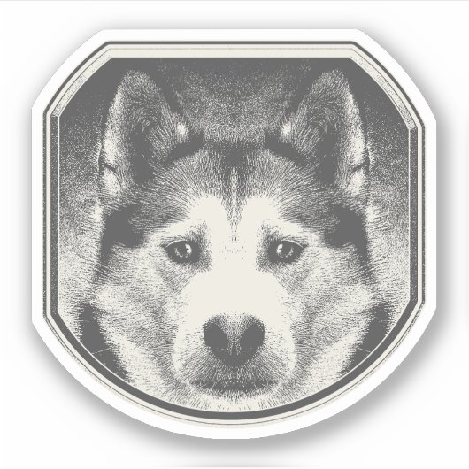 SIBERISCH HUSKY GEZICHT STICKER (Voorkant)