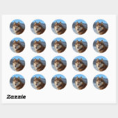 siberisch-husky-rood en wit ronde sticker (Vel)
