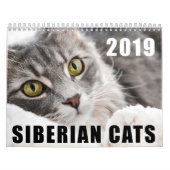 Siberisch kat kalender 2019 (Hoes)