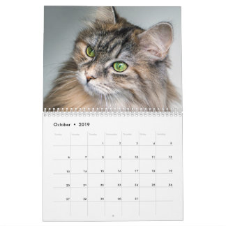 Siberisch kat kalender 2019