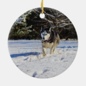 Siberische gist in de sneeuw keramisch ornament (Achterkant)