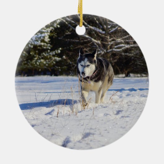 Siberische gist in de sneeuw keramisch ornament (Achterkant)