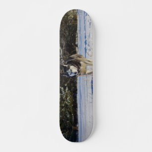 Siberische gist in de sneeuw skateboard