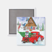 Siberische hondje met kerstcadeau magneet (Voorkant / Achterkant)