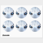 Siberische husky blauwe ogen ronde sticker (Vel)