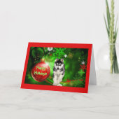 Siberische Husky Christmas Kaart Red Ball Green (Voorkant)