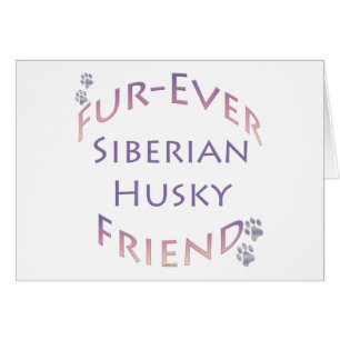 Siberische Husky Furever Vriend
