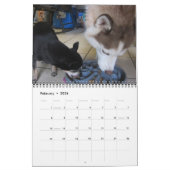 Siberische husky groeit op kalender (Feb 2026)