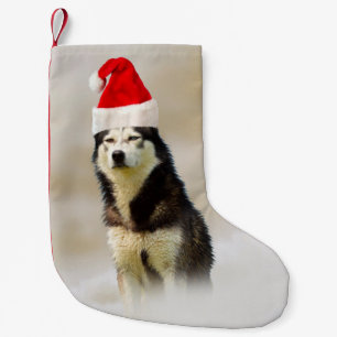 Siberische Husky Hond met Santa Hoed in Sneeuw Kleine Kerstsok