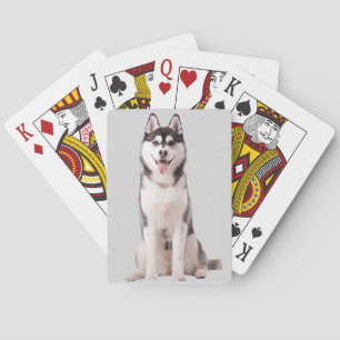 Siberische Husky-hond Pokerkaarten
