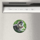 Siberische Husky hond ronde magneet (Insitu (Vaatwasser))