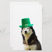 Siberische Husky Hond St. Patrick's dag Briefpapier (Voorkant / Achterkant)
