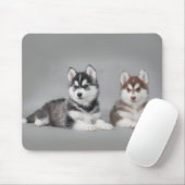 Siberische husky-puppies muismat (Met muis)