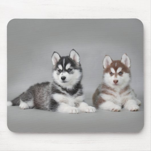 Siberische husky-puppies muismat (Voorkant)
