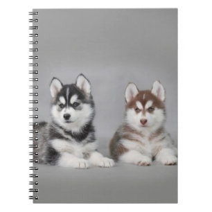 Siberische husky-puppies notitieboek