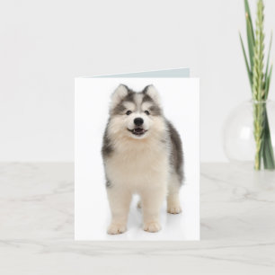 Siberische Husky Puppy Dog Blank Note Kaart