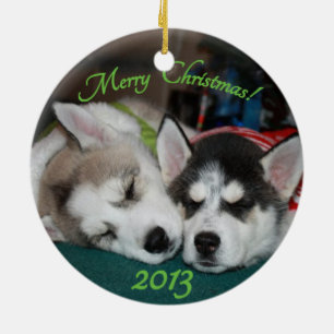 Siberische husky puppy Ornament