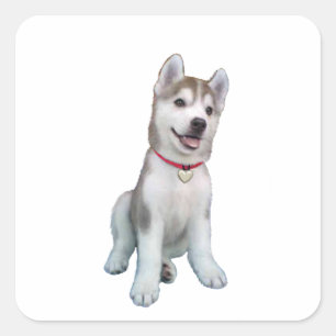 Siberische Husky Puppy Vierkante Sticker