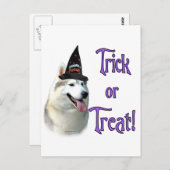 Siberische Husky Trick Briefkaart (Voorkant / Achterkant)